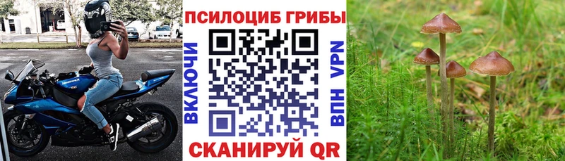 omg ссылки  Инза  Псилоцибиновые грибы прущие грибы 